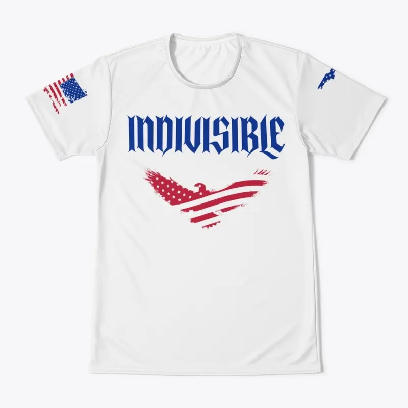 Indivisible Florida 